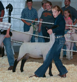 Thunderstruck Club Lambs
